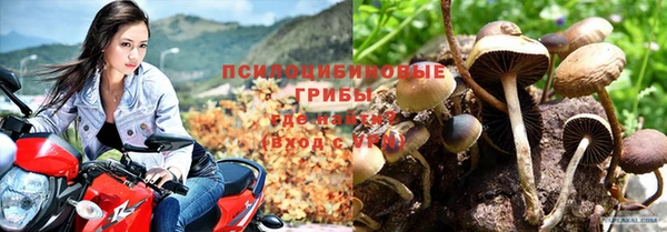 трава Приозерск