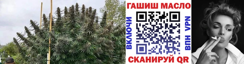 кракен как зайти  Бабушкин  ТГК THC oil 
